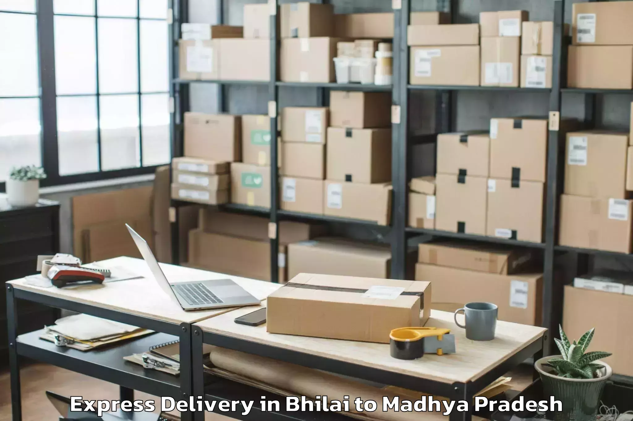 Quality Bhilai to Mandsaur University Mandsaur Express Delivery